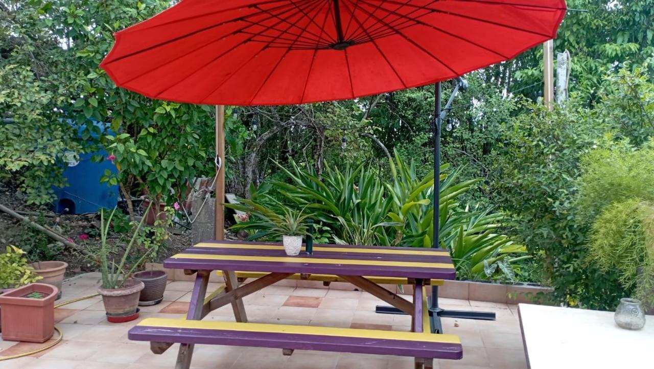 Maison Du Soleil Les Abymes Ngoại thất bức ảnh