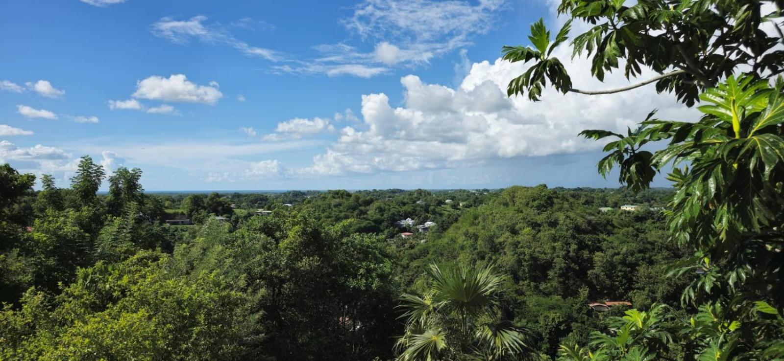 Maison Du Soleil Les Abymes Ngoại thất bức ảnh